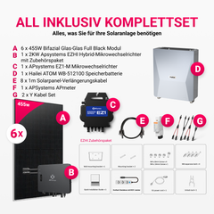 APsystems EZHI + EZ1M Set: Insel- & Hybrid-System + 5 kWh / 10 kWh Speicher + 2730W (6 × 455W) Bifacial Glas-Glas Full Black PV Modul + AC Leistung 2800W