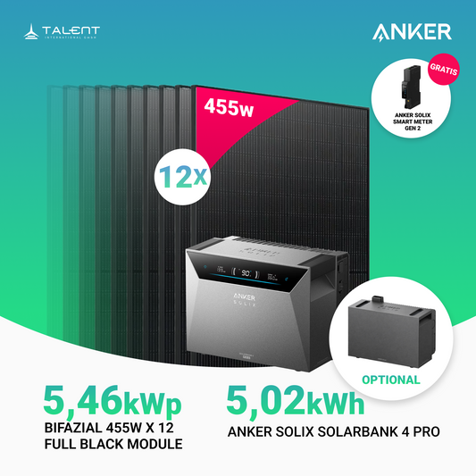 5460W Balkonkraftwerk mit Speicher - 12 × 455W Full Black bifazial Glas-Glas Module & Anker SOLIX Solarbank 4 Pro | jetzt auf Lager & sofort lieferbar