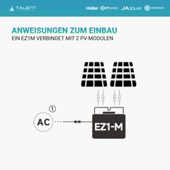 900W Balkonkraftwerk - 2 x 450W Bifacial Glas PV Modul Full Black + 800W EZ1-M Apsystem Wechselrichter mit Smart Meter