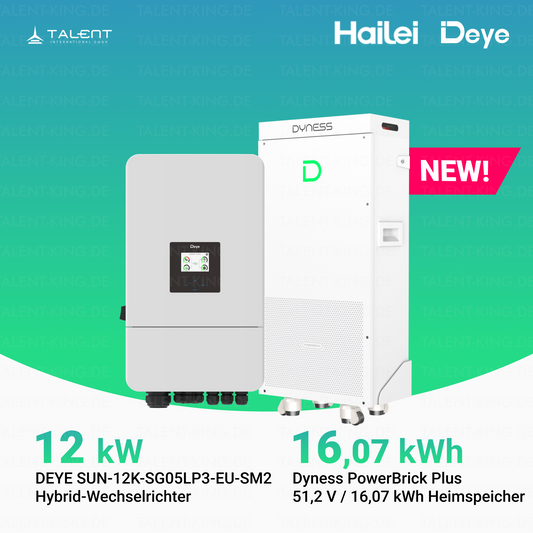 Dyness PowerBrick Plus 16,07 kWh & Deye 12KW Wechselrichter SUN-12K-SG05LP3-EU-SM2