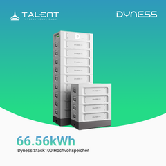 Dyness Stack100 Hochvoltspeicher ( 15,36 kWh - 76,80 kWh, Modular skalierbar )