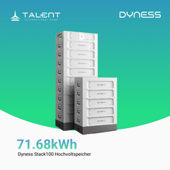 Dyness Stack100 Hochvoltspeicher ( 15,36 kWh - 76,80 kWh, Modular skalierbar )