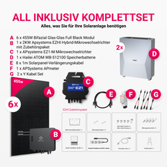 APsystems EZHI + EZ1M Set: Insel- & Hybrid-System + 5 kWh / 10 kWh Speicher + 2730W (6 × 455W) Bifacial Glas-Glas Full Black PV Modul + AC Leistung 2800W