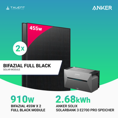 910W Balkonkraftwerk mit Speicher - 2x 455W Full Black Glas-Glas bifazial Modul & Anker Solix Solarbank 3 Pro