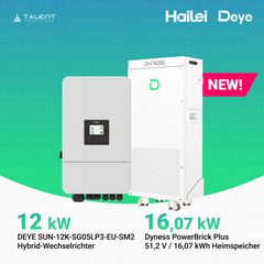 Dyness PowerBrick Plus 16,07 kWh & Deye 12KW Wechselrichter SUN-12K-SG05LP3-EU-SM2