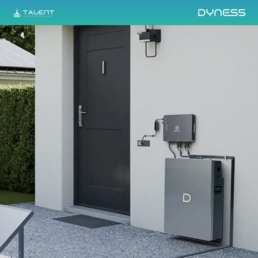 Dyness Powerhaus - Solarspeicher 5120Wh für Balkonkraftwerk, Plug & Play für PV Anlage, Geeignet für Inselbetrieb im Garten, 5,12kWh Stromspeicher Solarbank für Haus Balkon