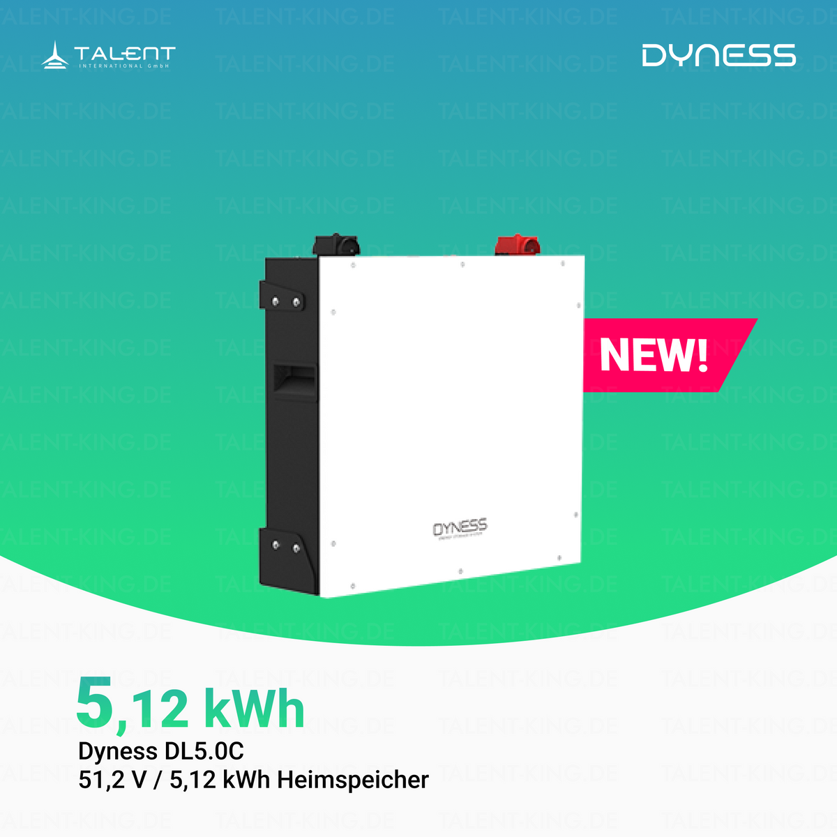 Dyness DL5.0C  - 51,2V 5,12 kWh Heimspeicher