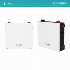 Dyness DL5.0C  - 51,2V 5,12 kWh Heimspeicher