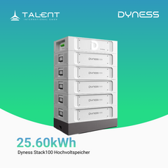Dyness Stack100 Hochvoltspeicher ( 15,36 kWh - 76,80 kWh, Modular skalierbar )