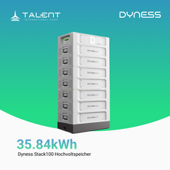 Dyness Stack100 Hochvoltspeicher ( 15,36 kWh - 76,80 kWh, Modular skalierbar )
