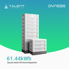 Dyness Stack100 Hochvoltspeicher ( 15,36 kWh - 76,80 kWh, Modular skalierbar )